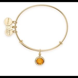 Alex and Ani - November birthstone bangle